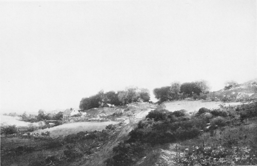 [Image unavailable.]