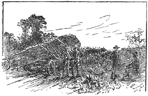 &ldquo;Daar buiten stonden onbeweeglijk de ossen, en hunne gestalten teekenden zich tegen den hemel af.&rdquo;