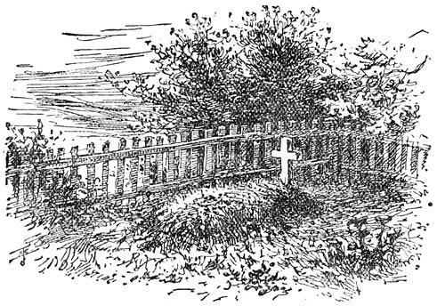 &ldquo;Een mooi groen grasveld met een klein bloembed.&rdquo;