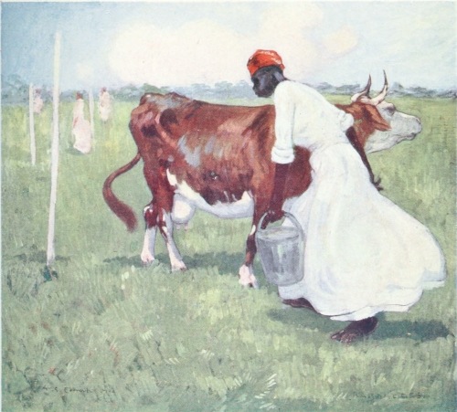 Image unavailable: A MILKMAID, BARBADOES