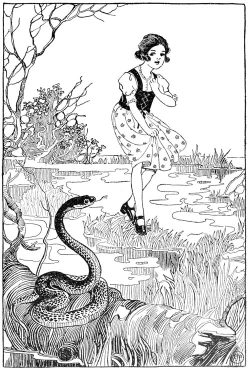 What Do You Suppose Made that Noise?