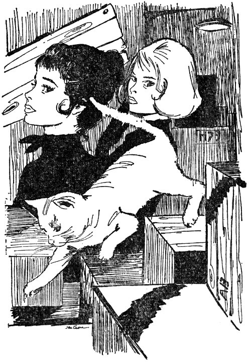 One shadow suddenly detached itself from the rest