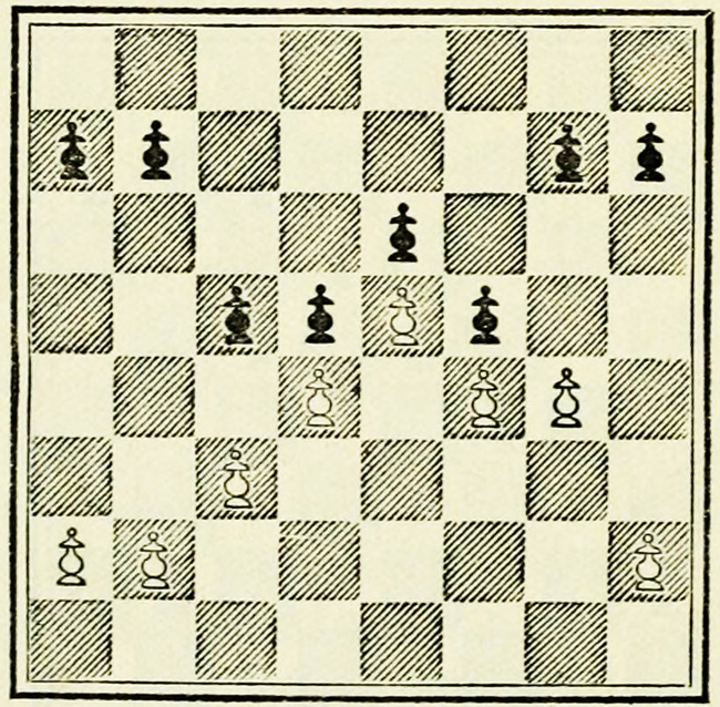 Taking a Calculated Chance on Chess - THE STERN OPPORTUNITY