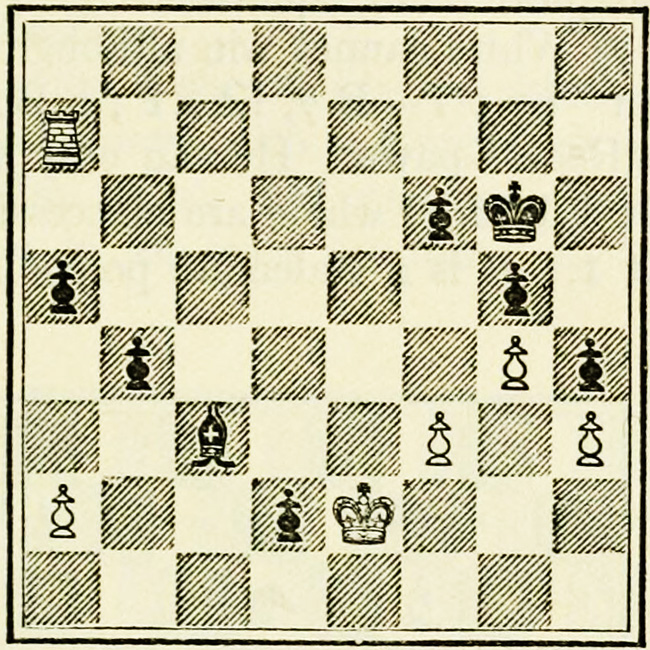 What kinds of unconventional chess problems exist? - Chess Stack Exchange