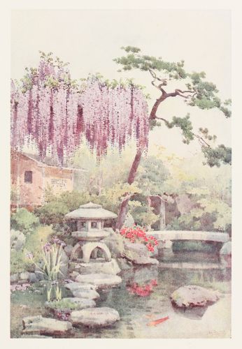 [Image unavailable.]