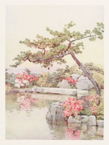 [Image unavailable.]