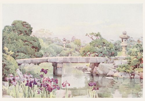 [Image unavailable.]