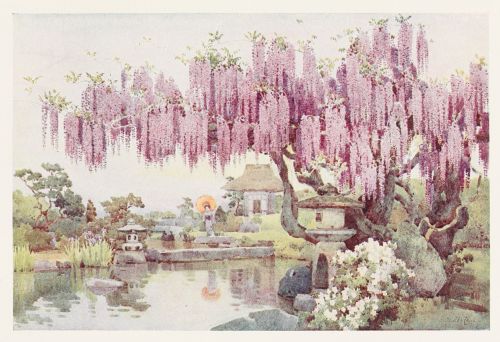 [Image unavailable.]