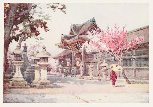 [Image unavailable.]