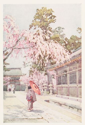 [Image unavailable.]