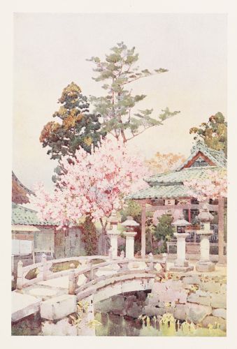 [Image unavailable.]