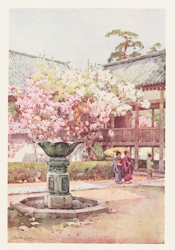 [Image unavailable.]