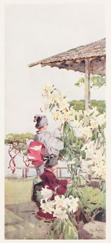 [Image unavailable.]