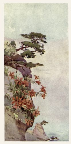 [Image unavailable.]