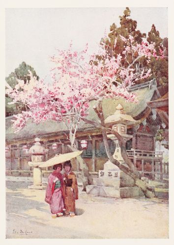 [Image unavailable.]