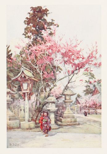 [Image unavailable.]