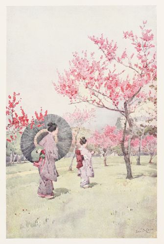 [Image unavailable.]