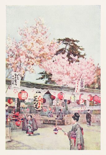 [Image unavailable.]