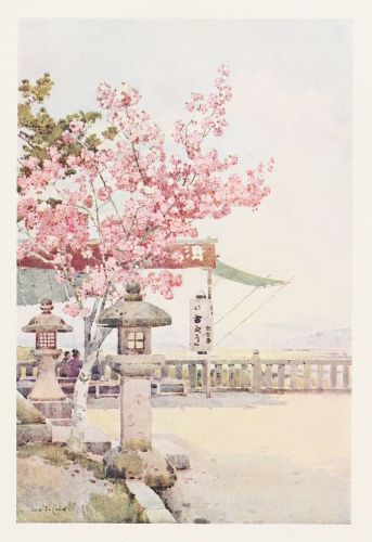 [Image unavailable.]