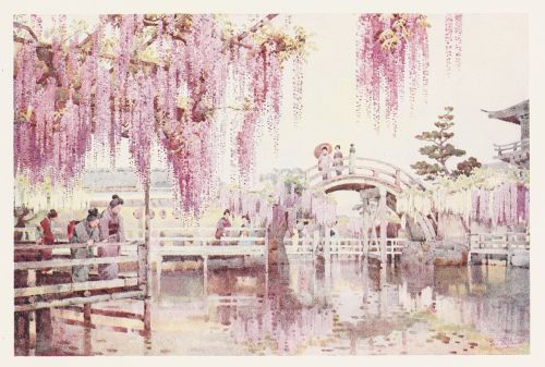 [Image unavailable.]