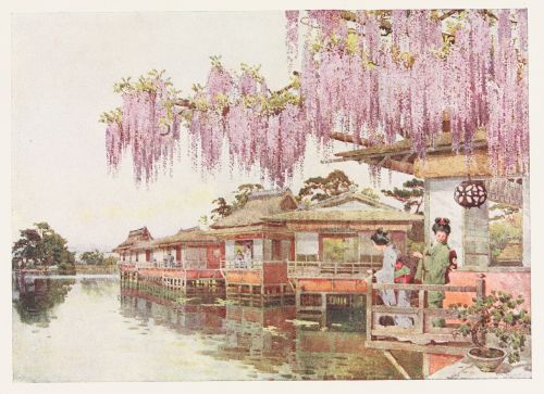 [Image unavailable.]