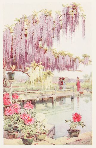 [Image unavailable.]