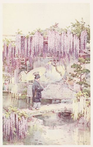 [Image unavailable.]