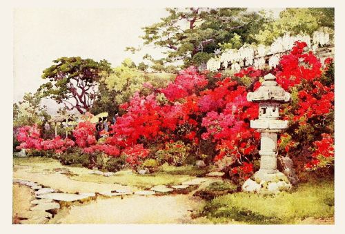 [Image unavailable.]