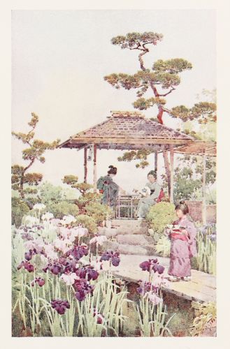 [Image unavailable.]