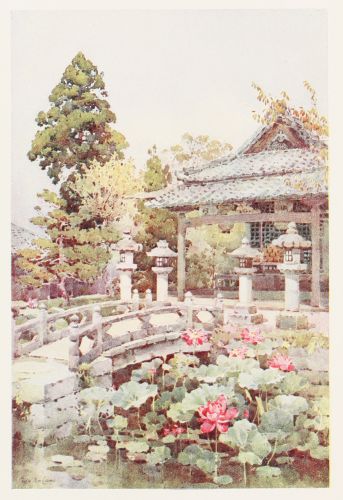 [Image unavailable.]