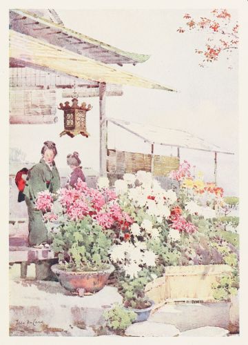 [Image unavailable.]