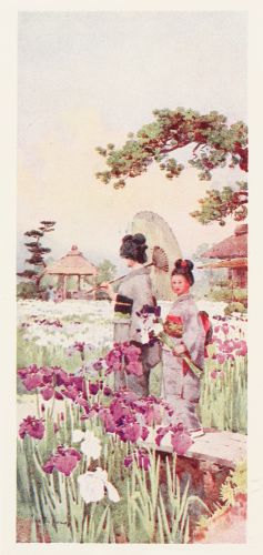 [Image unavailable.]