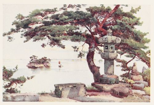 [Image unavailable.]