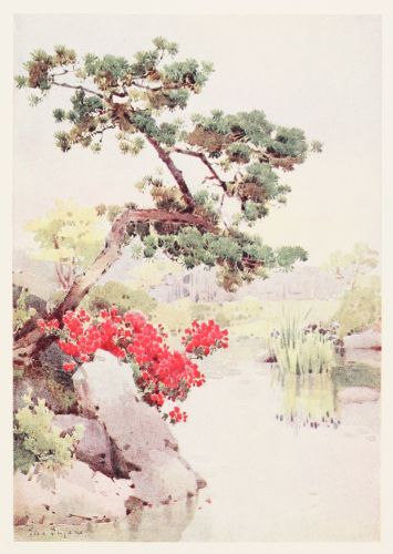 [Image unavailable.]