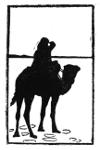 Silhouette of a camel and rider
