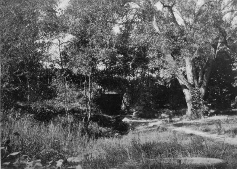 Picture of the Timber Creek 'Crystal Spring' and the old marl-pit, 1904.