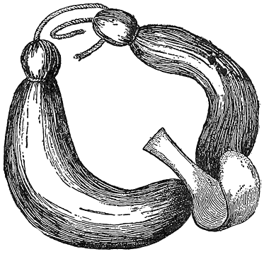 Palaoa, a Talisman worn around the Neck.