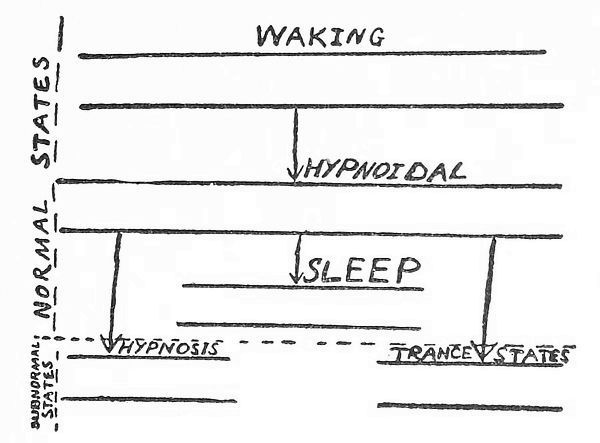 The Rise and Fall of William J. Sidis • Damn Interesting