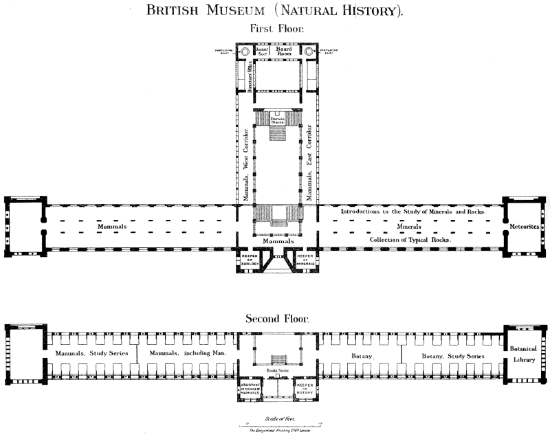 British Museum Organisation Chart