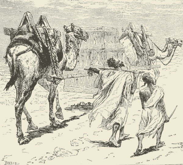 The Camel Conveyance.