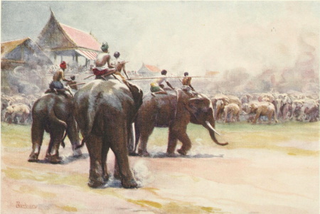 AN ELEPHANT HUNT AT AYUTHIA