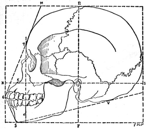 The Project Gutenberg eBook of Among Cannibals, by Carl Lumholtz