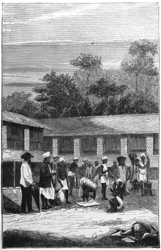 Plate 9.—The Barbecue, or Drying-Floor, Messrs. Worms’
Estates, Puselawa.