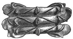 Fig. 131.—Bronze Armlet. Back view.