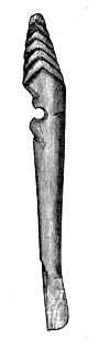 Fig. 211.—Polished Bone Pin from Broch of Burwick. (Actual size.)