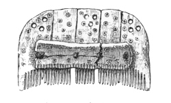 Fig. 234.—Round-backed Comb of Bone from Broch of Burrian (half actual size).