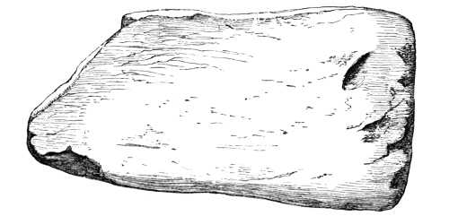 Fig. 240.—One of a number of Smoothing Implements of Bone from the Broch of Burrian (6½ inches in length).