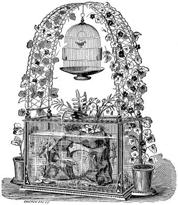 An elaborate drawing of plants and birdcage.
