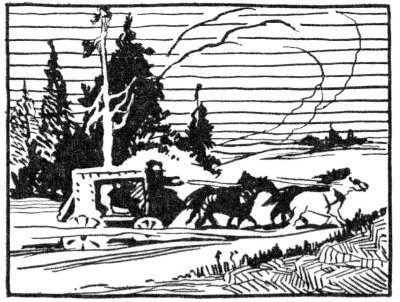 Horse-drawn stagecoach