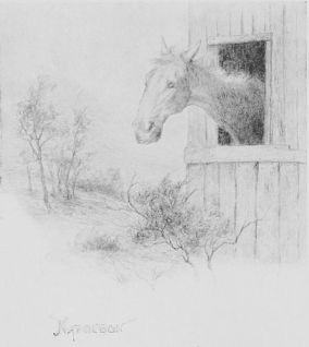 [Image unavailable.]